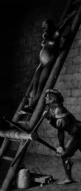 29-Ladder