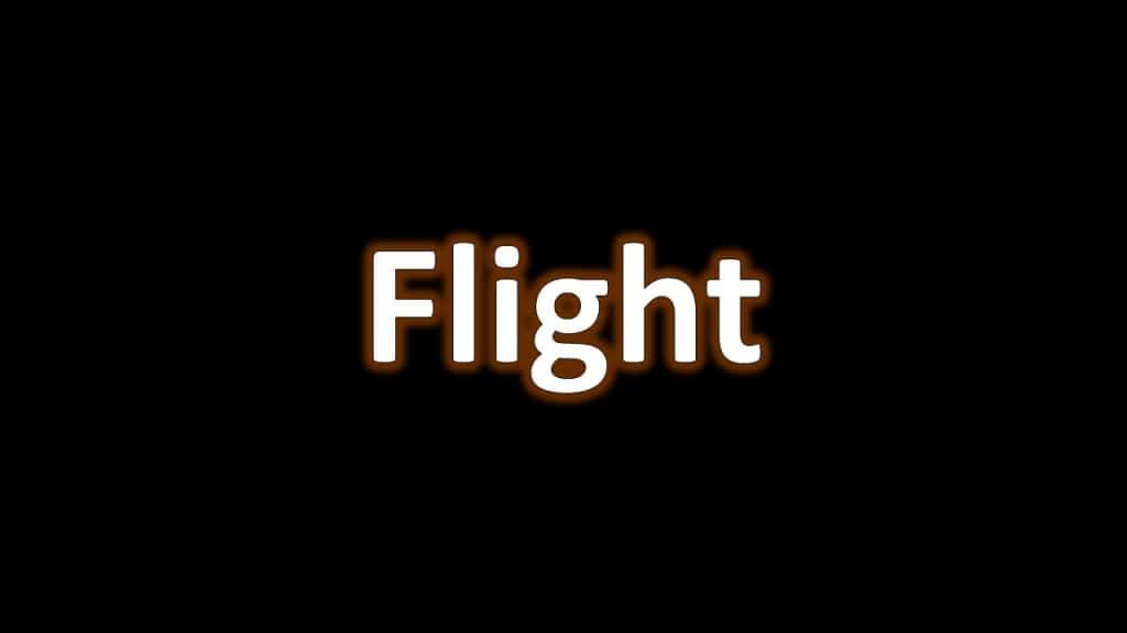 5-Flight