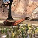 The-Assassin-21