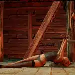 Tribute-to-Red-Feline-006