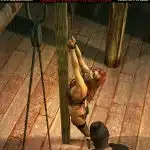 Tribute-to-Red-Feline-043