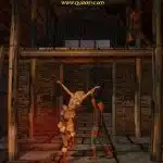 Vikings-019