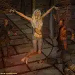 Vikings-044