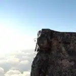 21__21-3