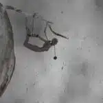 27__27-1