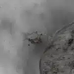 29__29-1