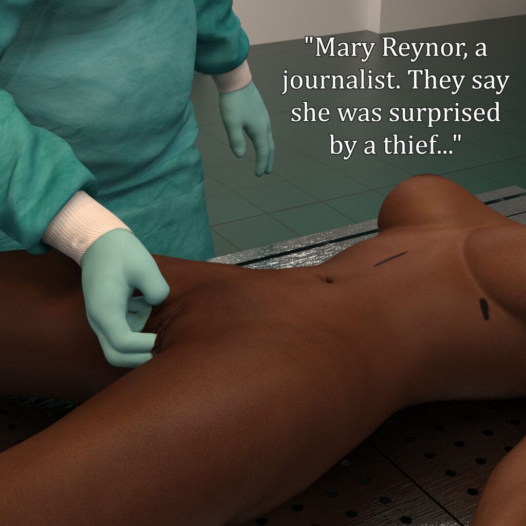 A-meddlesome-reporter_0037