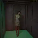 Fate-of-a-spy-001