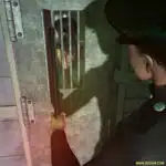 Fate-of-a-spy-005