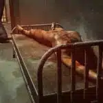 Interview-With-a-Torturer-17