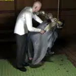Japanese-Interrogation-39
