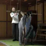 Japanese-Interrogation-40