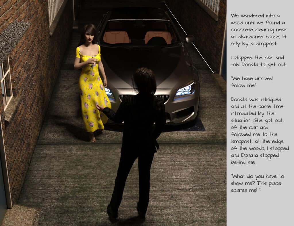 Killing-Donata-commission_0005