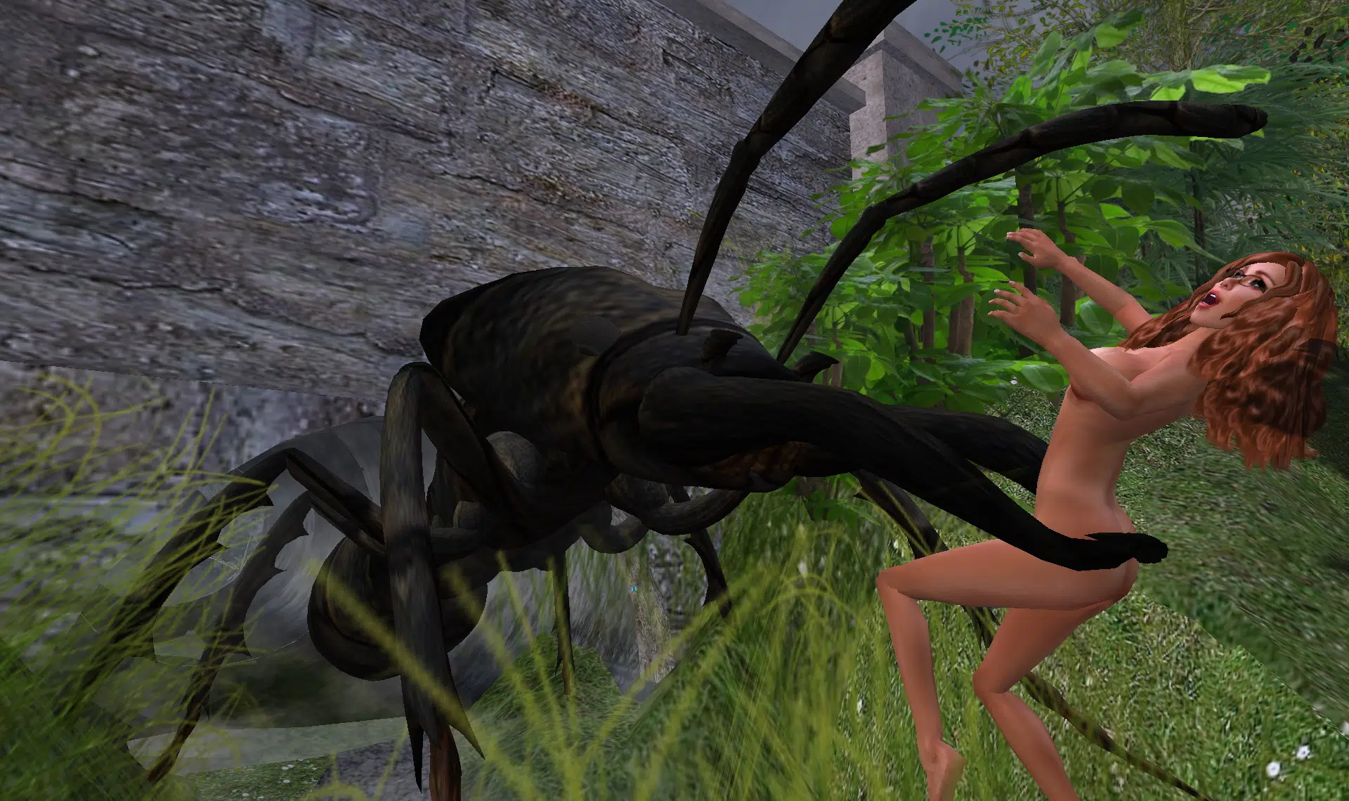 Ant_05