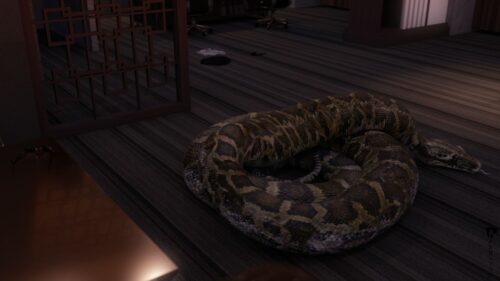 OfficeSnake40