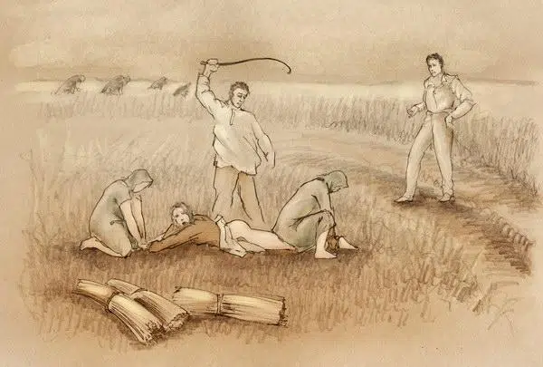 img456
