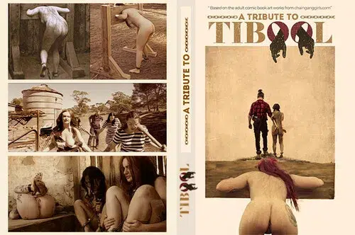 A Tribute to Tibool (Fancy Steel)