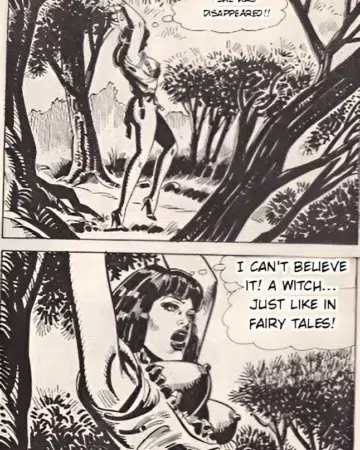 Incubes #71: The Last Chance (Pier Carlo Macchi)