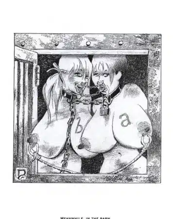 Bizarre Bondage vol. 4 (Dementia)
