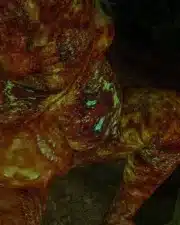 9.5_digestion_pose_v3_MERGED