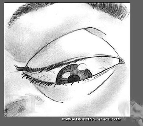 Baccus_-_Public_Spectacle0026