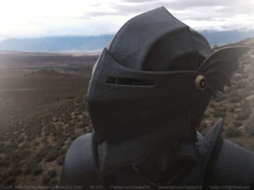 CLOE-Amernie-the-Warrior-by-SedesDiS-067