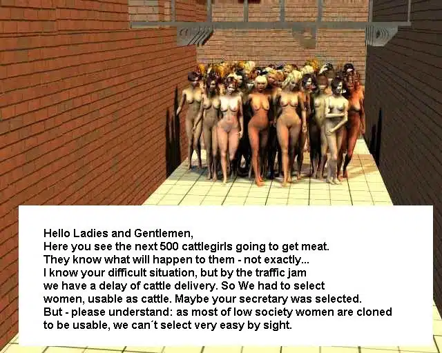 Cattle001