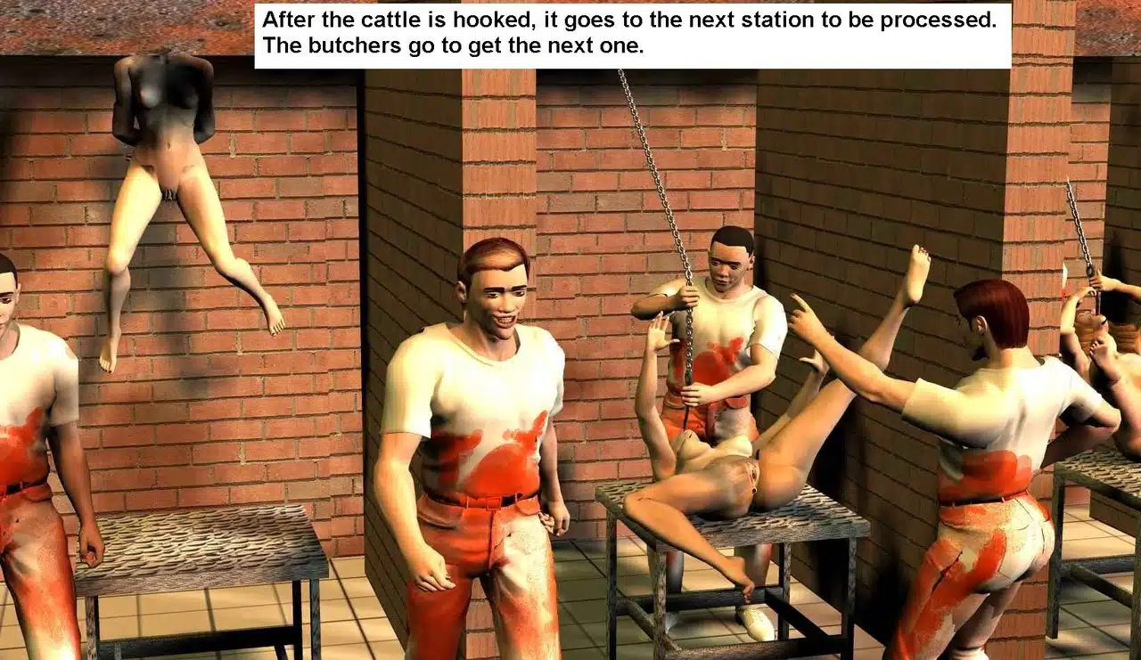 Cattle007