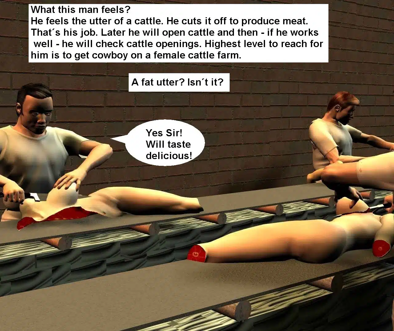 Cattle035