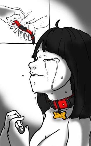 NimbleTail-Complusory-Petification_08