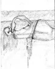 Pic061-1