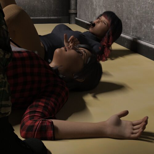 Restricted-area_0015