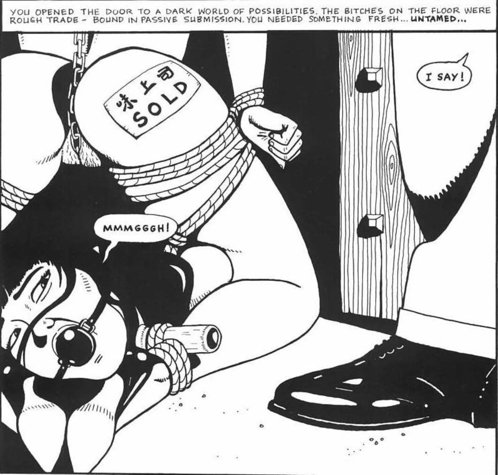 benson_dogrsm02c