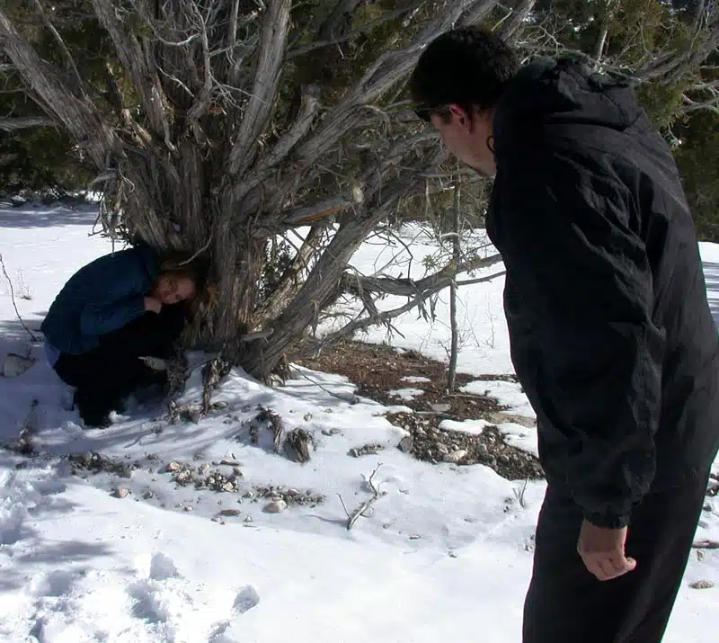 cold08