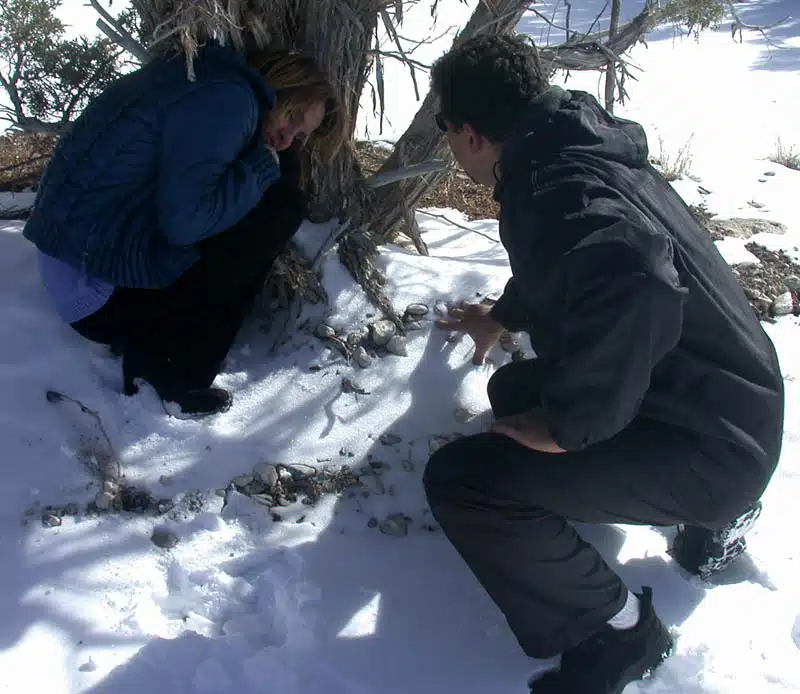 cold09