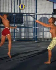 wh-hav-ballgame
