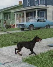wh-hav-dog