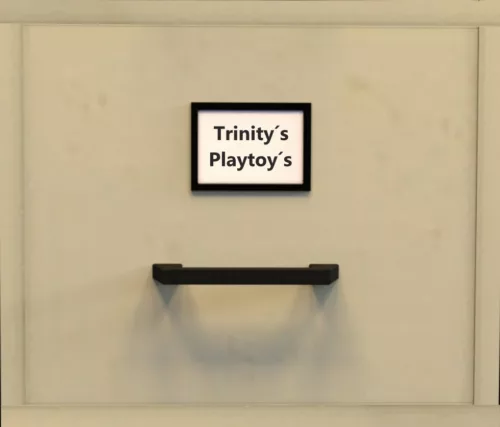 Trinity’s Playtoys (Akahando)
