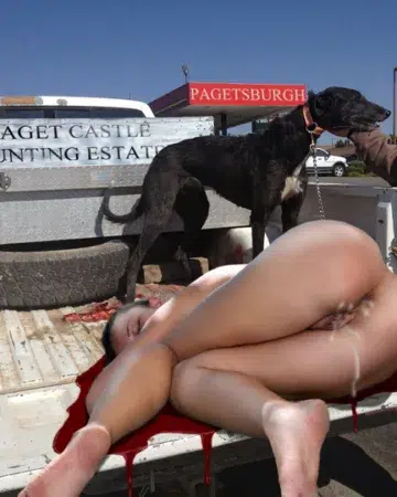 Slave Hunting on the Estate (Harry Paget)