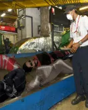 ca2d8d7ec281ac0f9780aa32f5ad988d