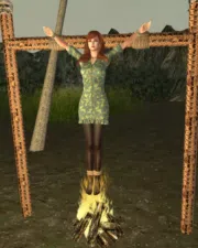 3d136f131a06c08bce90960735ebd0c9