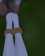 c14170495845dd91269d2b5bfcbb9082