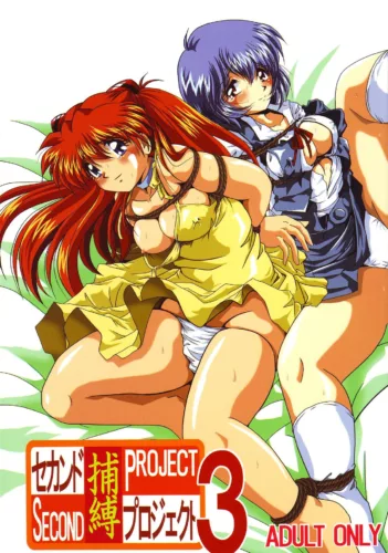 Second Hobaku Project 3 [Neon Genesis Evangelion] (Thirty Saver Street)