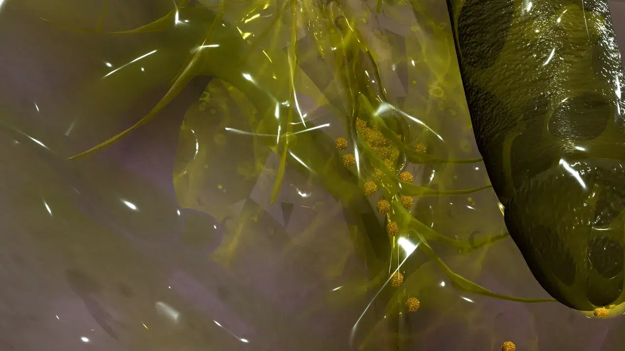 20210809162234708