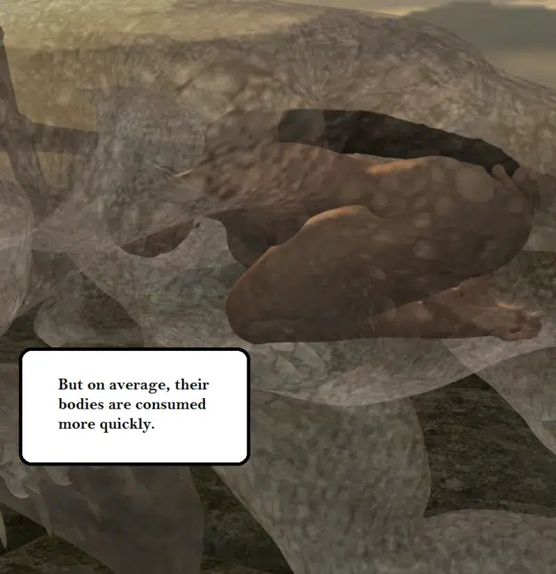 Delivery_38