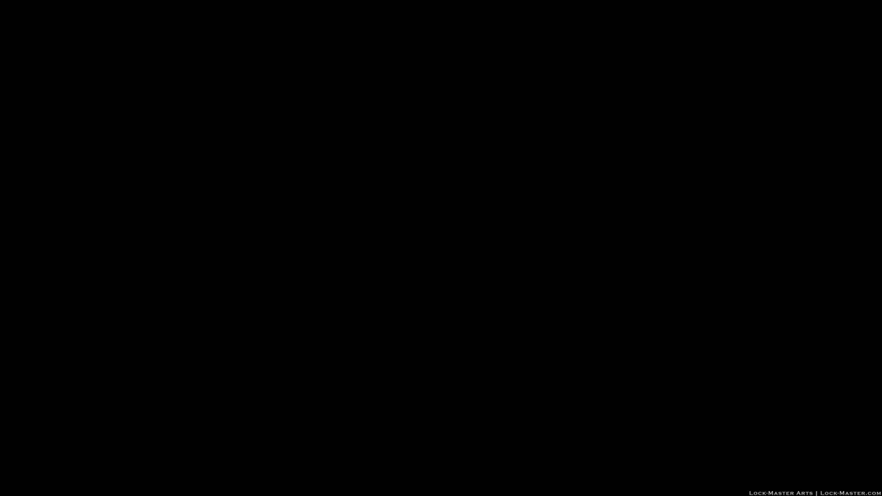 LmLp10046