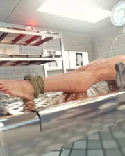 meat16