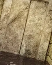 Lara_59