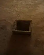 Lara_61