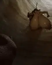 Lara_66